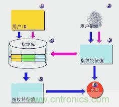 指纹识别技术采集技术