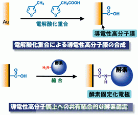 什么是导电高分子?-基础知识-电子元件技术网