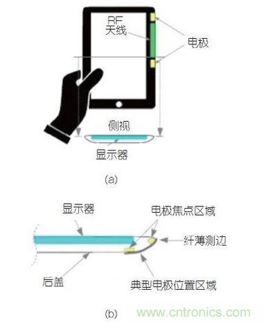 (a)侧剖视图描述;(b)电极焦点区域描述