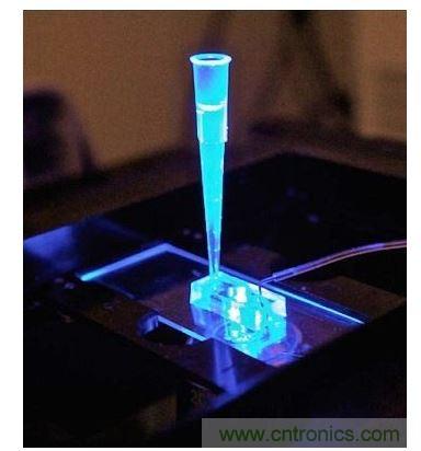 加州柏克莱大学所开发的“心脏单芯片”用以放置从成人干细胞产出的人类心脏组织,该系统有一天可望替代实验动物应用于药物安全筛检