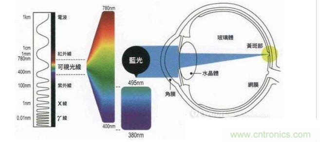 短波高能蓝光引起视网膜色素上皮的萎缩