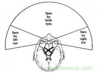 双目重叠技术在VR中有什么作用？