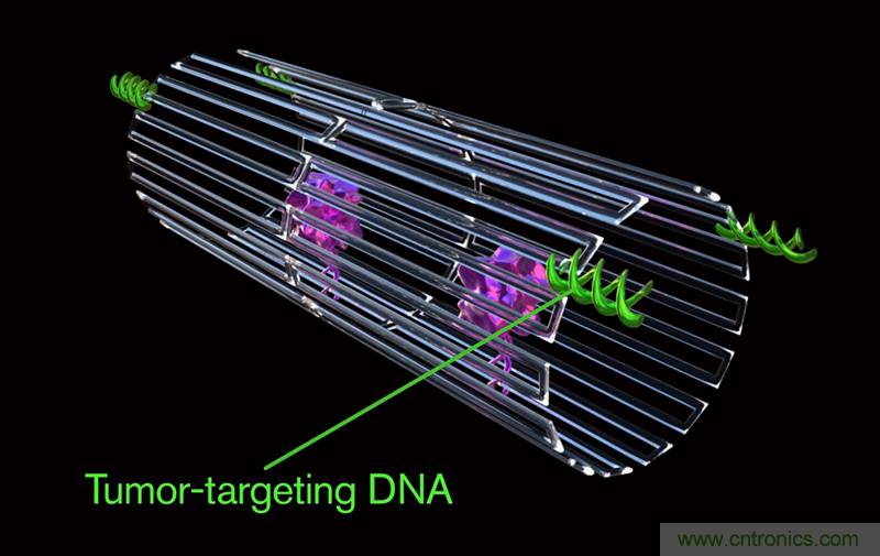 中美科学家联手，用DNA纳米机器人杀死癌细胞
