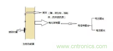 仿生传感器的定义、原理、分类及应用