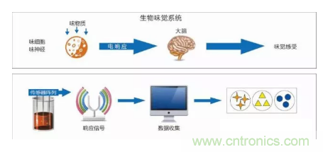 仿生传感器的定义、原理、分类及应用