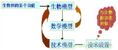 仿生传感器的定义、原理、分类及应用