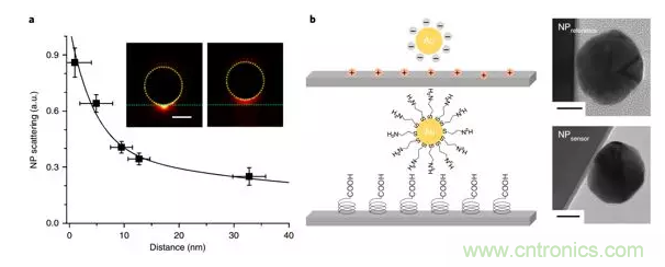 新型纳米级光纤应力传感器：用于分子和细胞水平机械探测