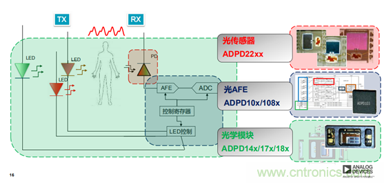 从光学模块到系统构建来解决，如何实现光学体征信号监测？