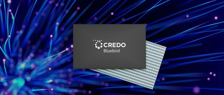AI网络新引擎：Credo 1.6T光DSP芯片支持224Gbps单通道传输