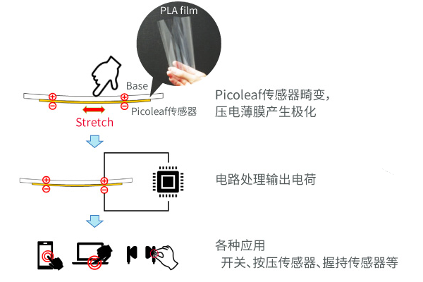 这款健身仪器使用了村田的压电薄膜传感器!