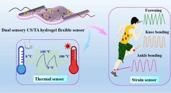 新型多功能柔性可穿戴式传感器守护健康