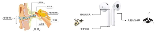 骨振动传感器在TWS耳机中的应用