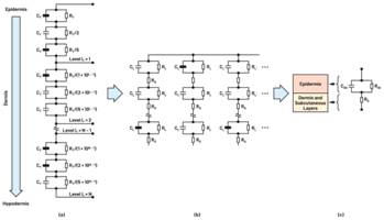  图3.人体皮肤的三种主要RC分层模型：(a) Tregear、(b) Lykken、(c) Montague