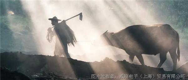 智慧农业大有可为，“数字种地”更轻松