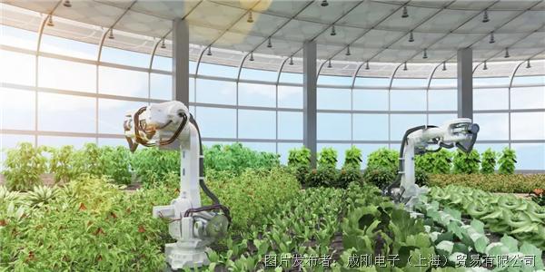 智慧农业大有可为，“数字种地”更轻松