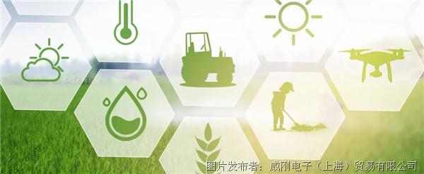 智慧农业大有可为，“数字种地”更轻松