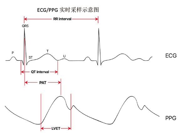 暖芯迦推出体征信号监测四合一芯片EPC001